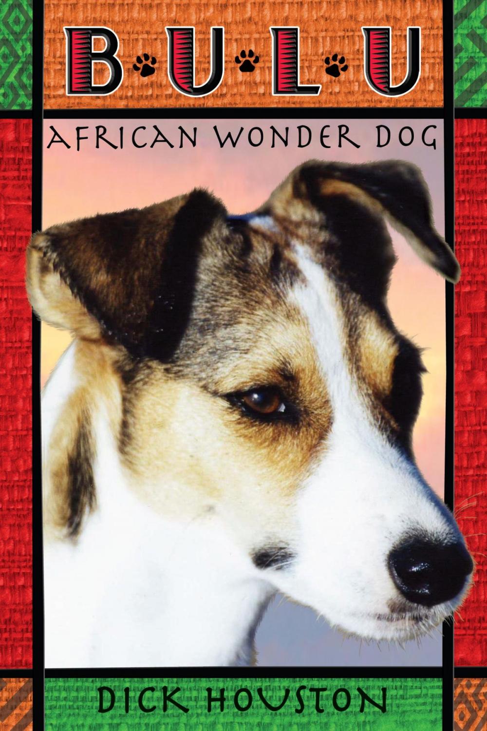 Big bigCover of Bulu: African Wonder Dog