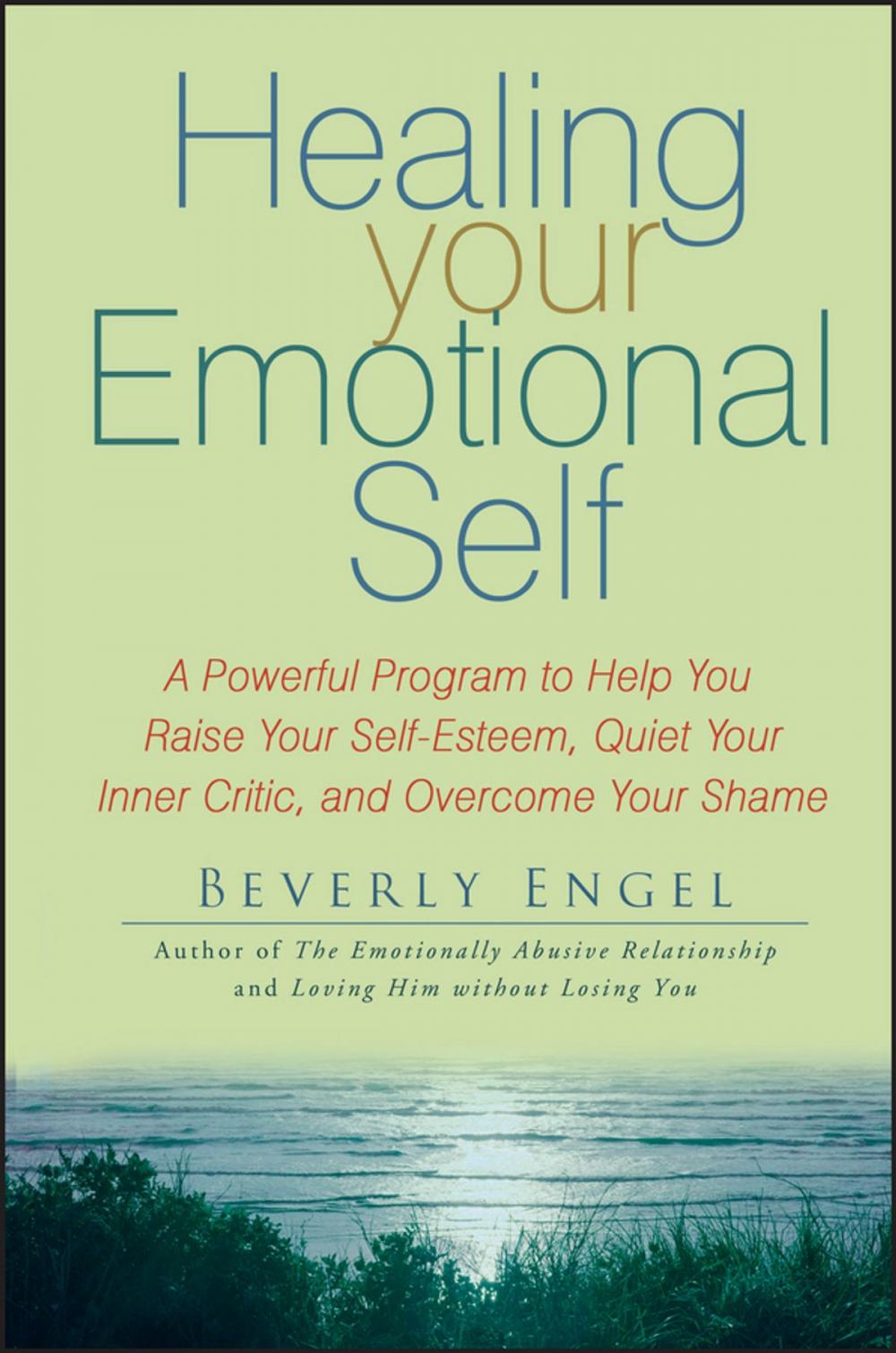 Big bigCover of Healing Your Emotional Self