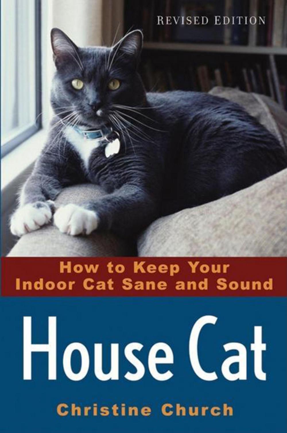 Big bigCover of House Cat