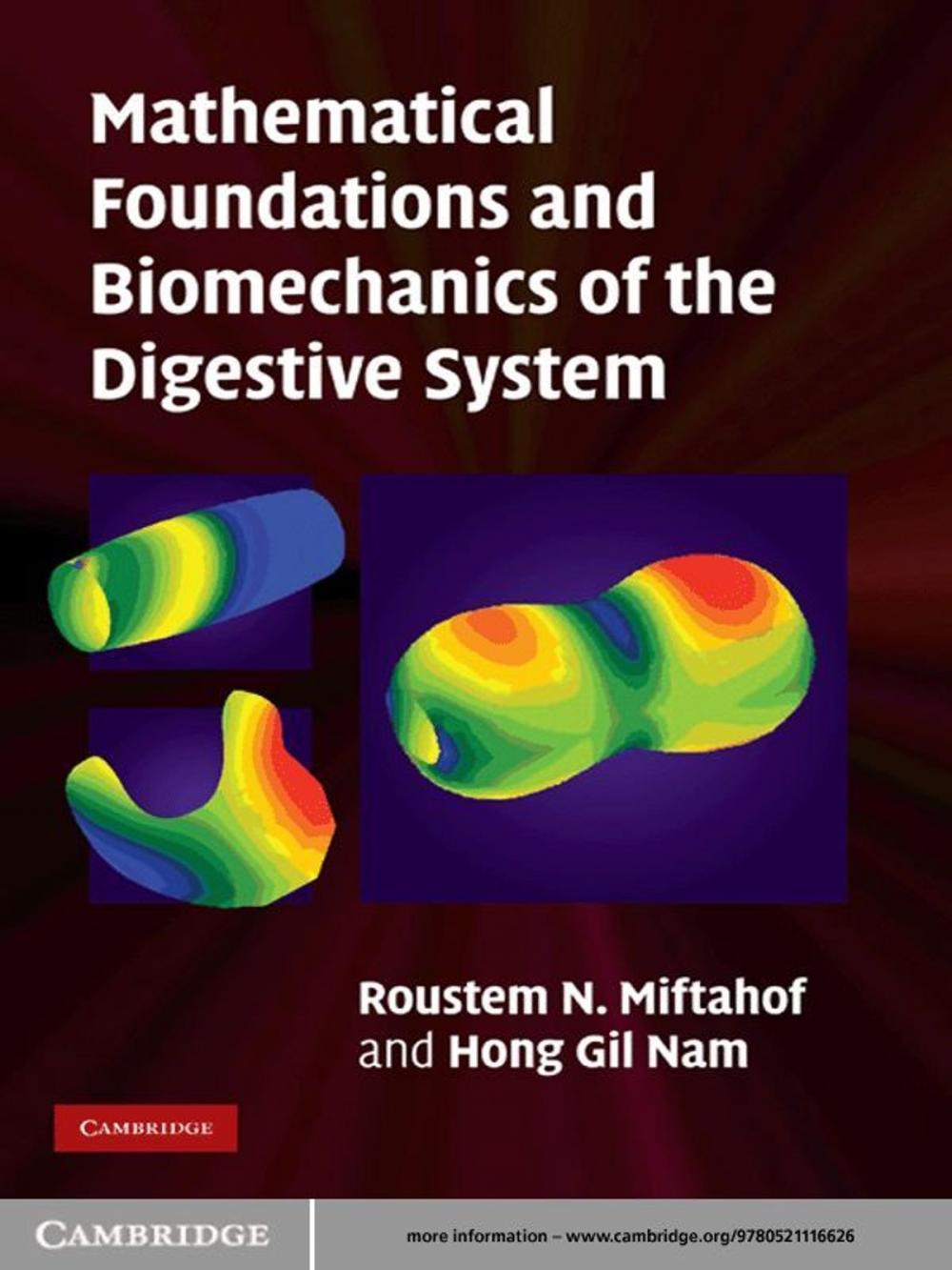 Big bigCover of Mathematical Foundations and Biomechanics of the Digestive System
