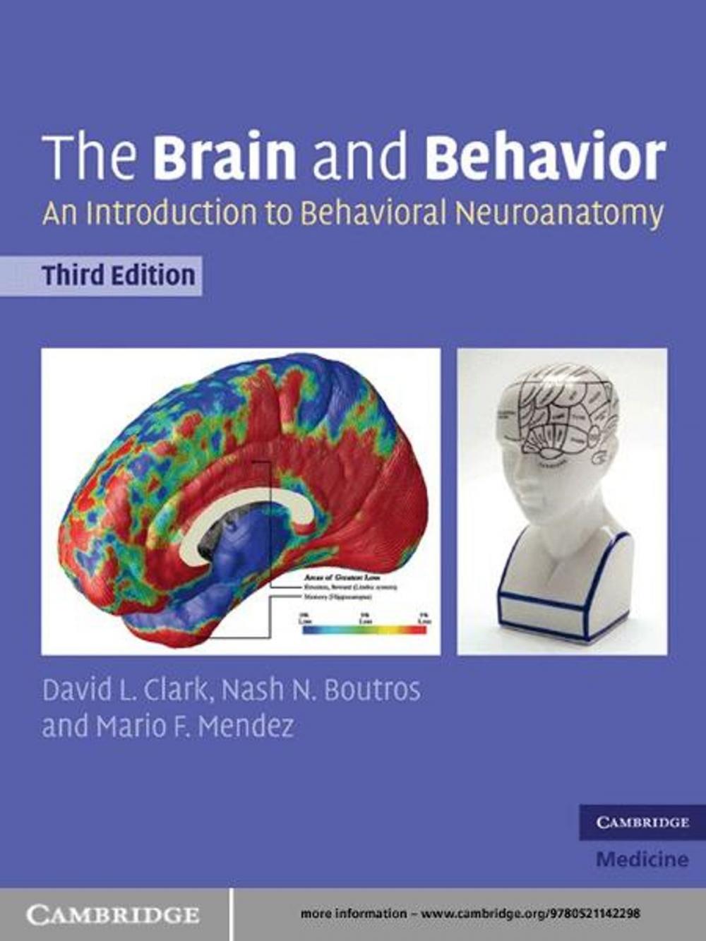 Big bigCover of The Brain and Behavior