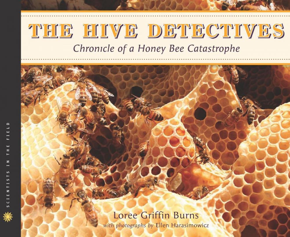 Big bigCover of The Hive Detectives