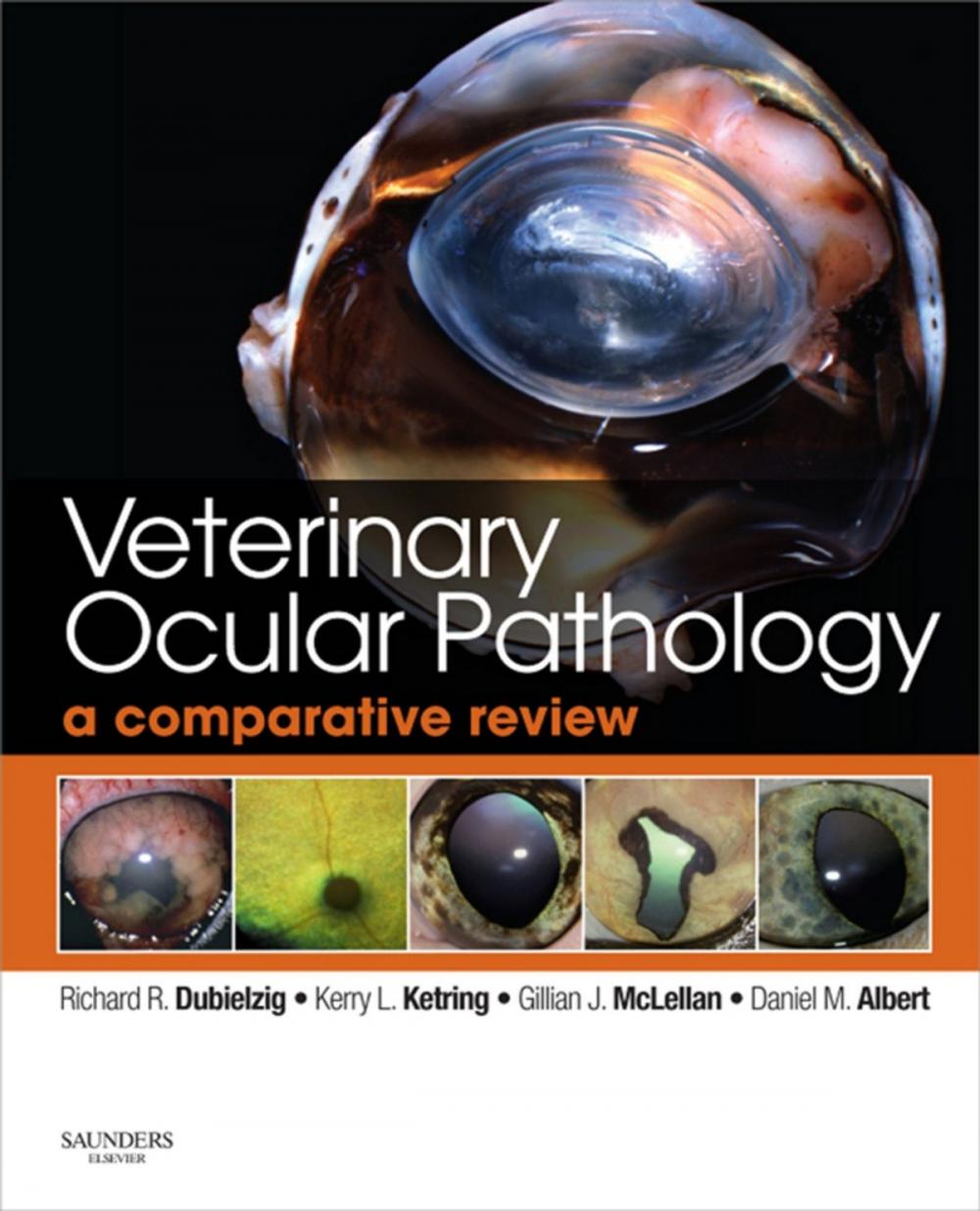 Big bigCover of Veterinary Ocular Pathology