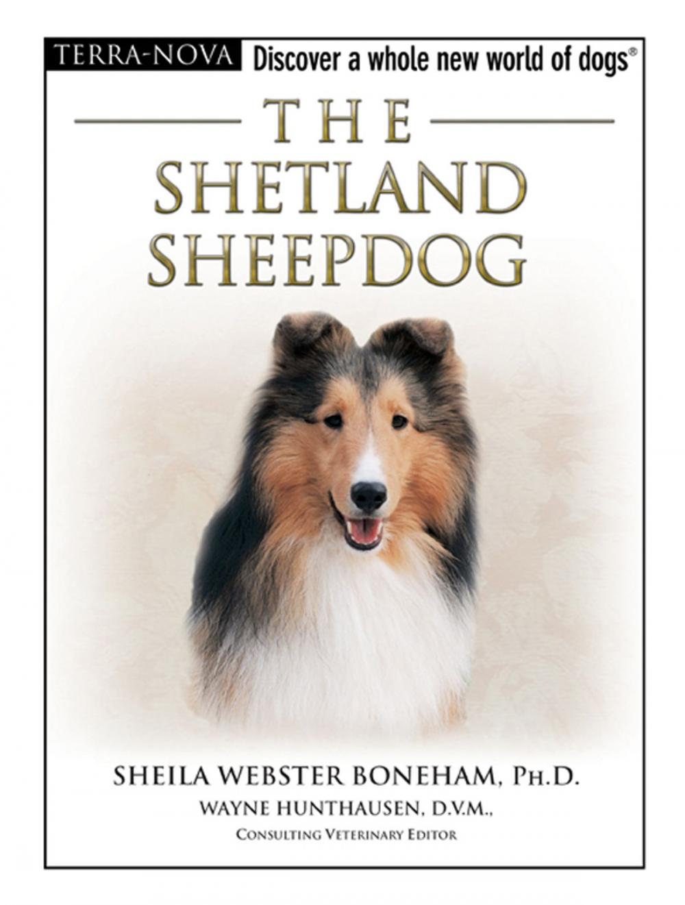 Big bigCover of The Shetland Sheepdog
