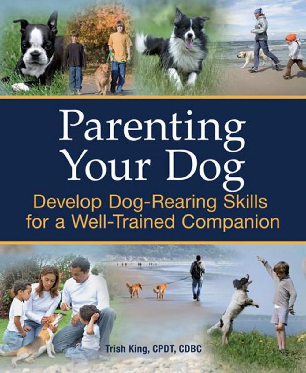 Big bigCover of Parenting Your Dog