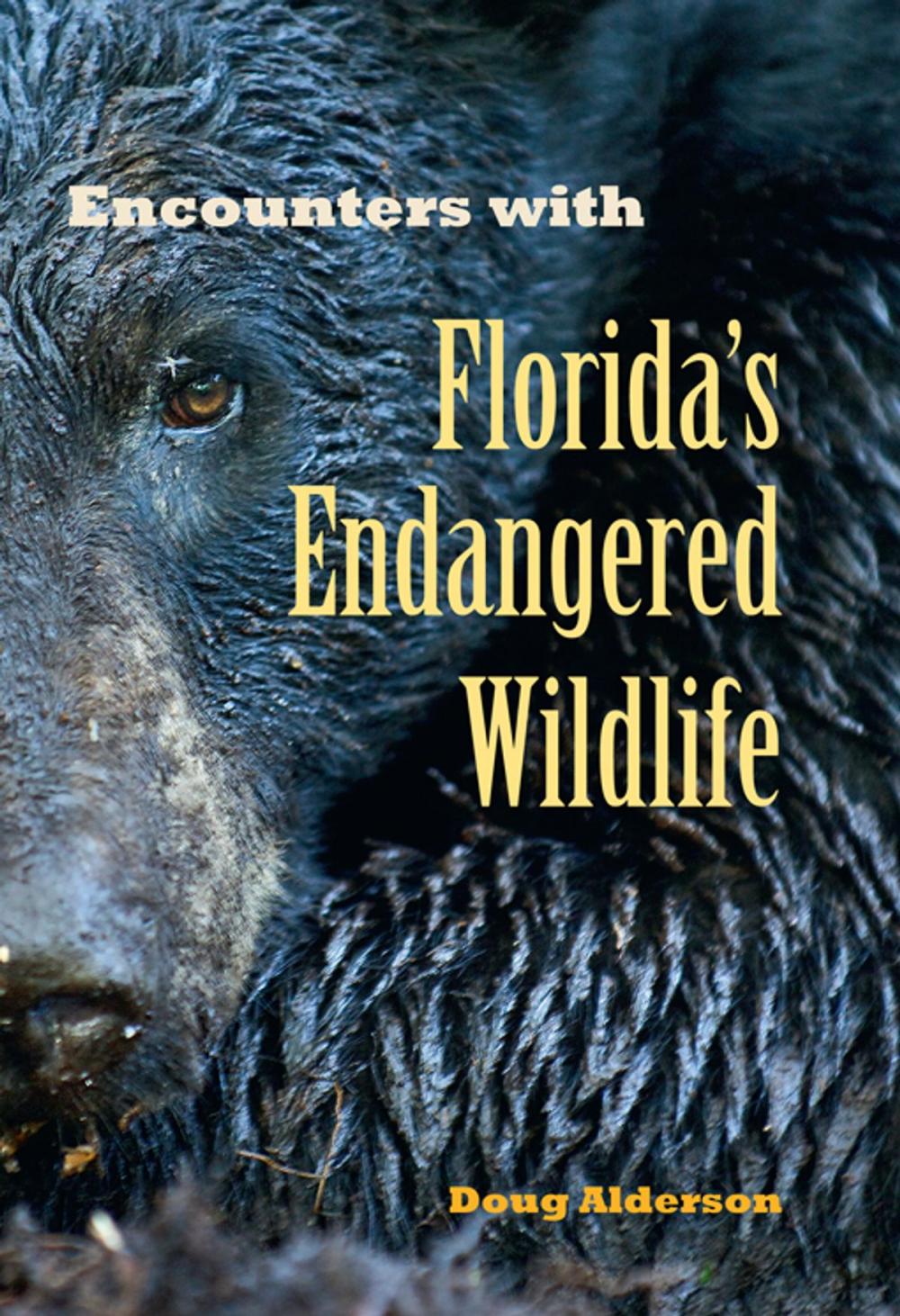 Big bigCover of Encounters with Florida's Endangered Wildlife