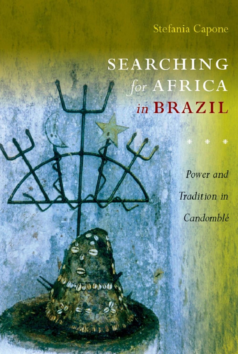 Big bigCover of Searching for Africa in Brazil