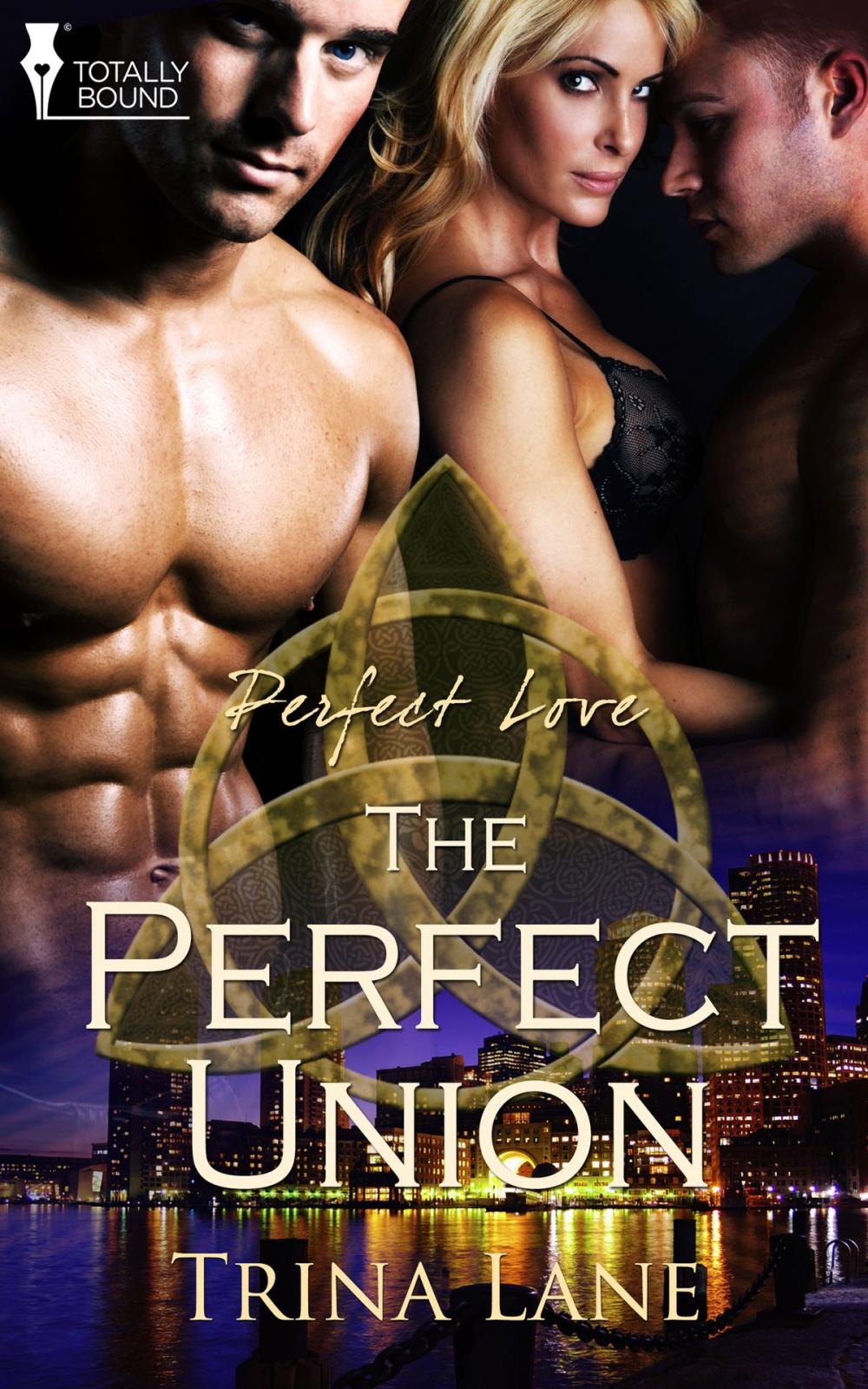 Big bigCover of The Perfect Union