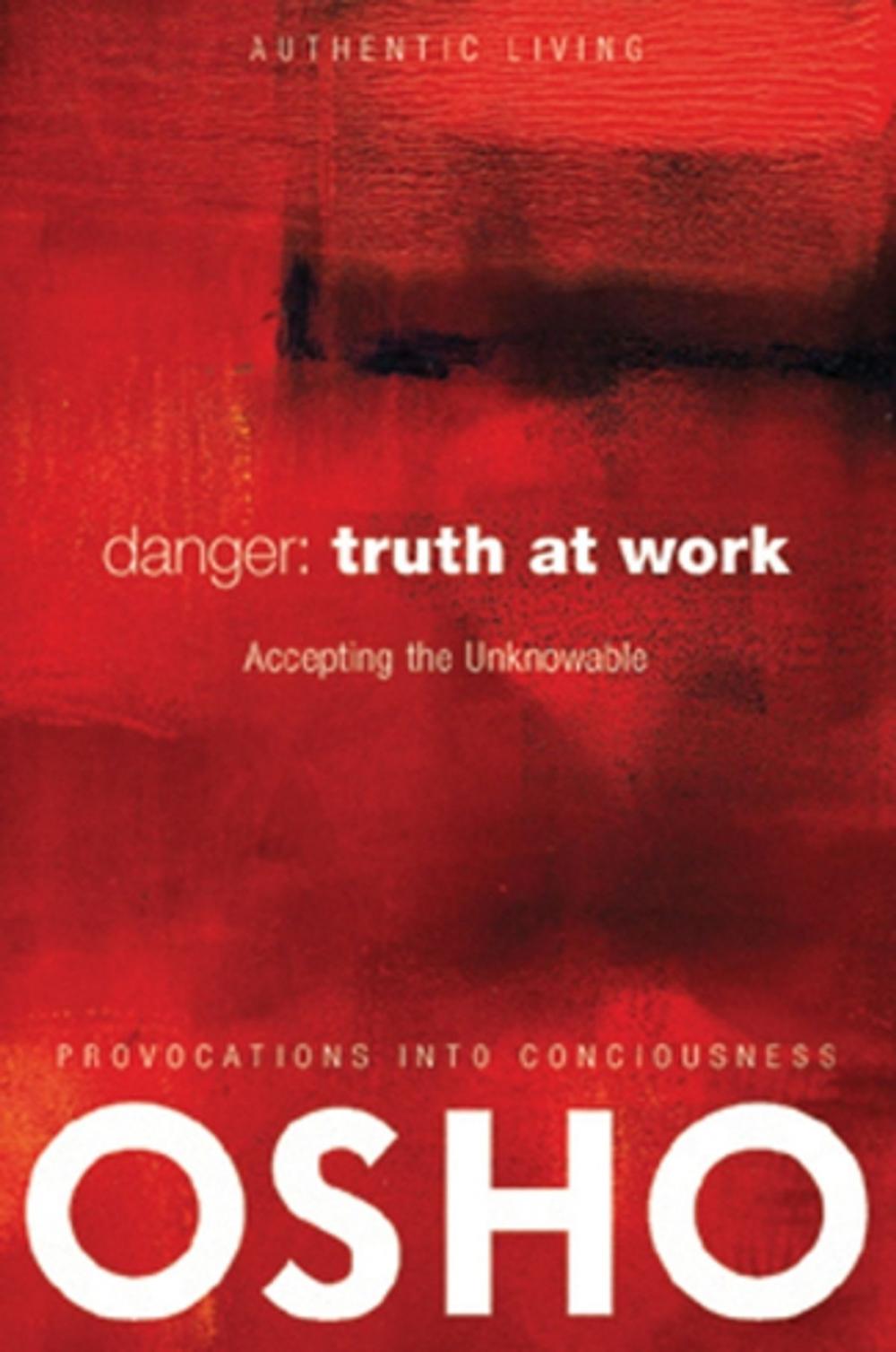 Big bigCover of Danger: Truth at Work