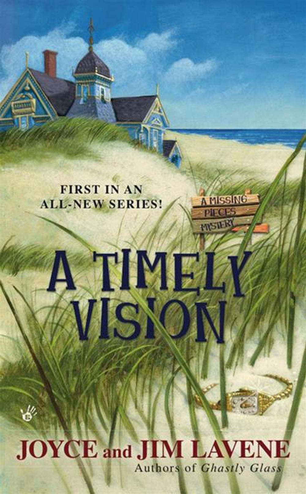 Big bigCover of A Timely Vision