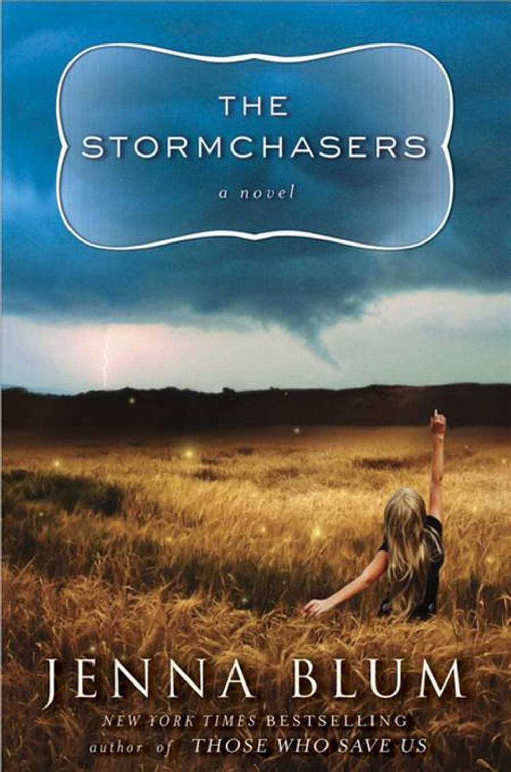 Big bigCover of The Stormchasers