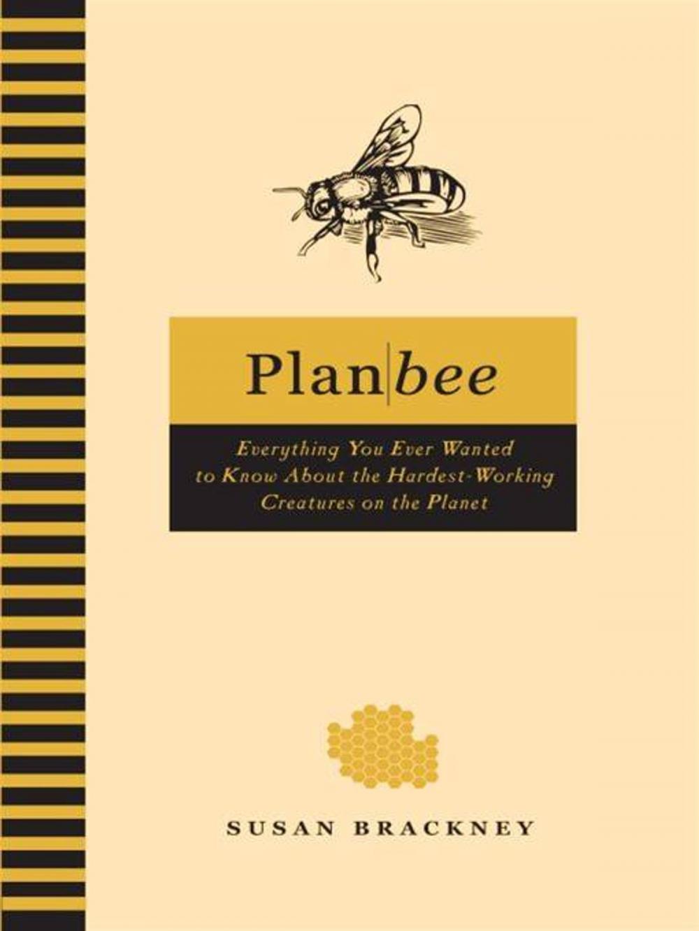 Big bigCover of Plan Bee