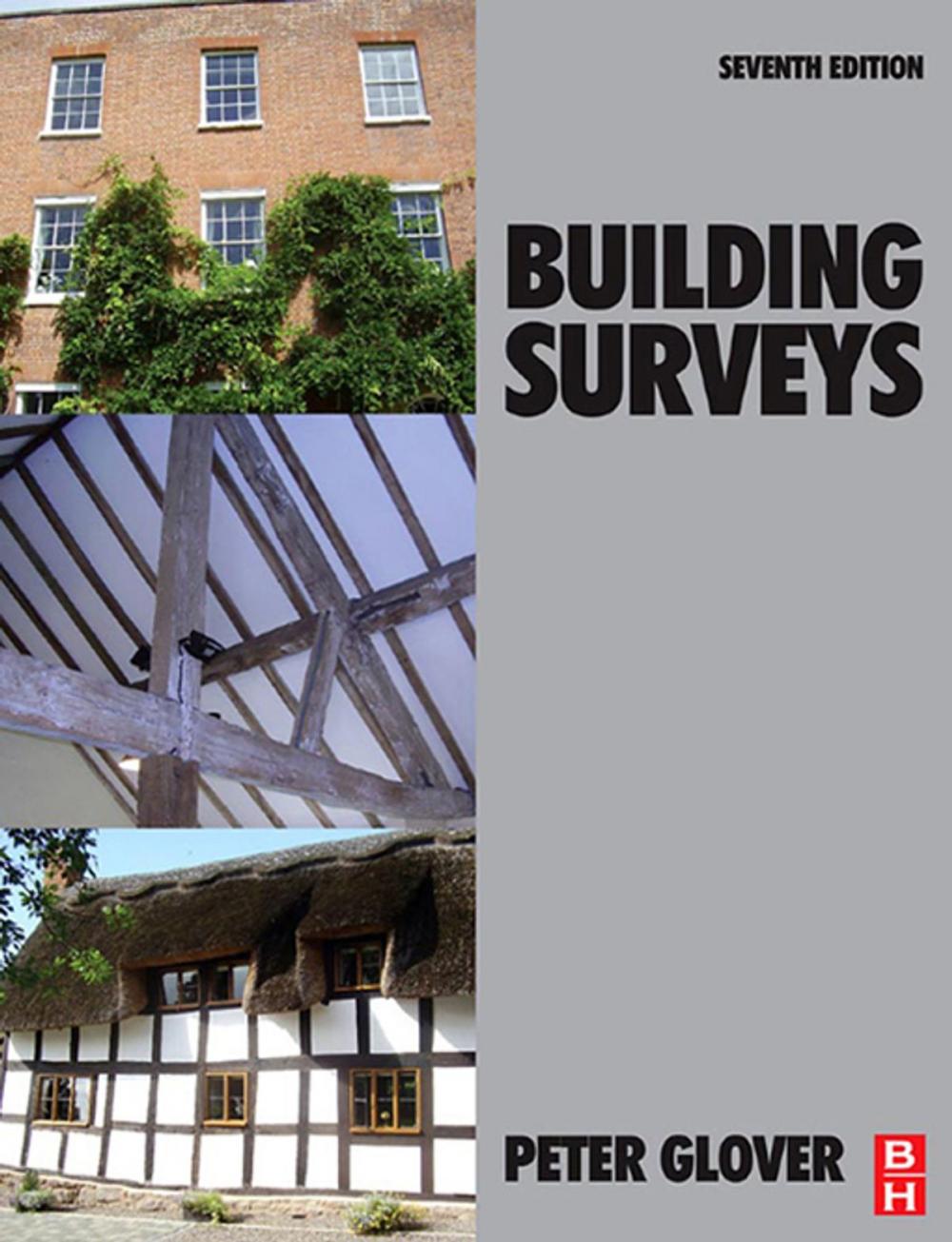 Big bigCover of Building Surveys