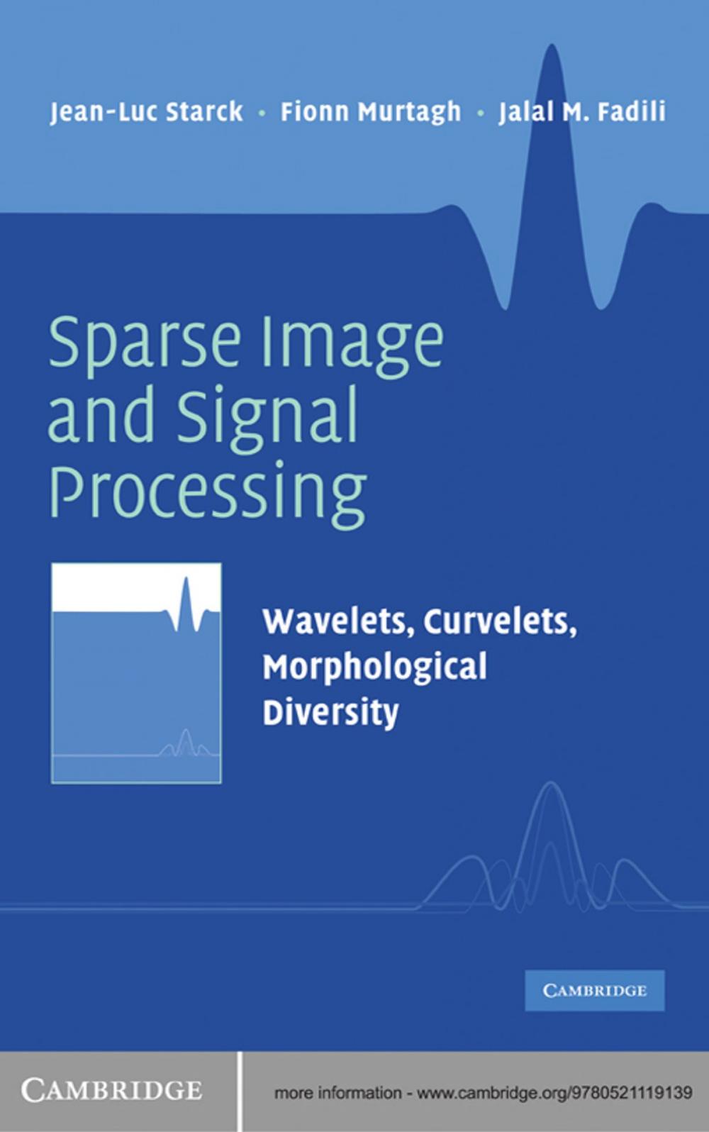 Big bigCover of Sparse Image and Signal Processing