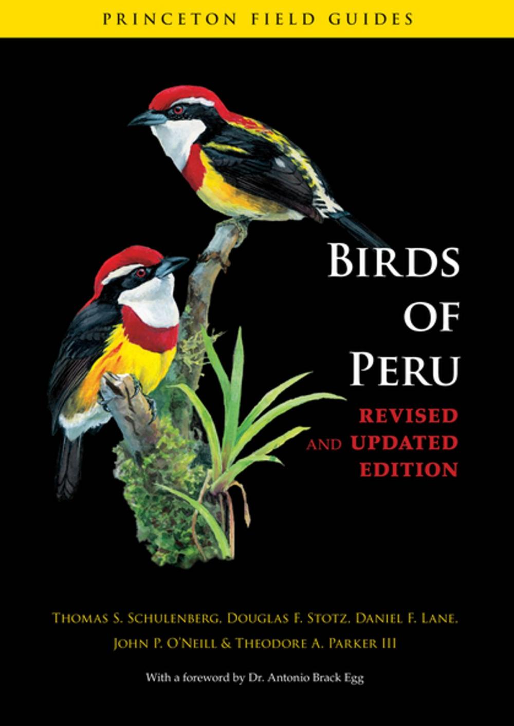 Big bigCover of Birds of Peru