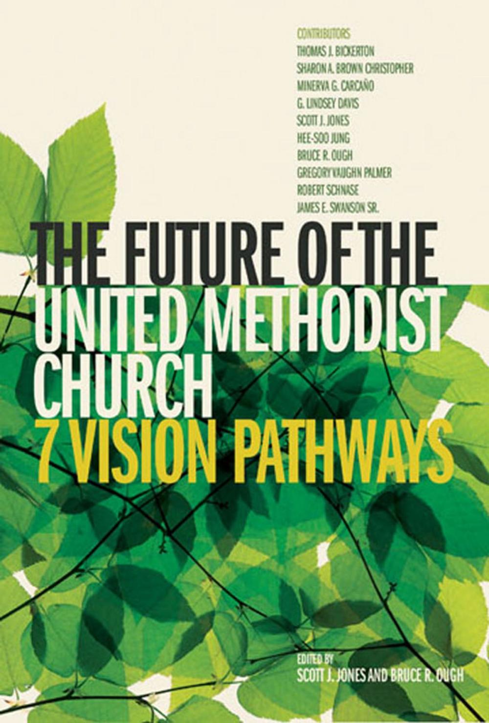 Big bigCover of The Future of the United Methodist Church