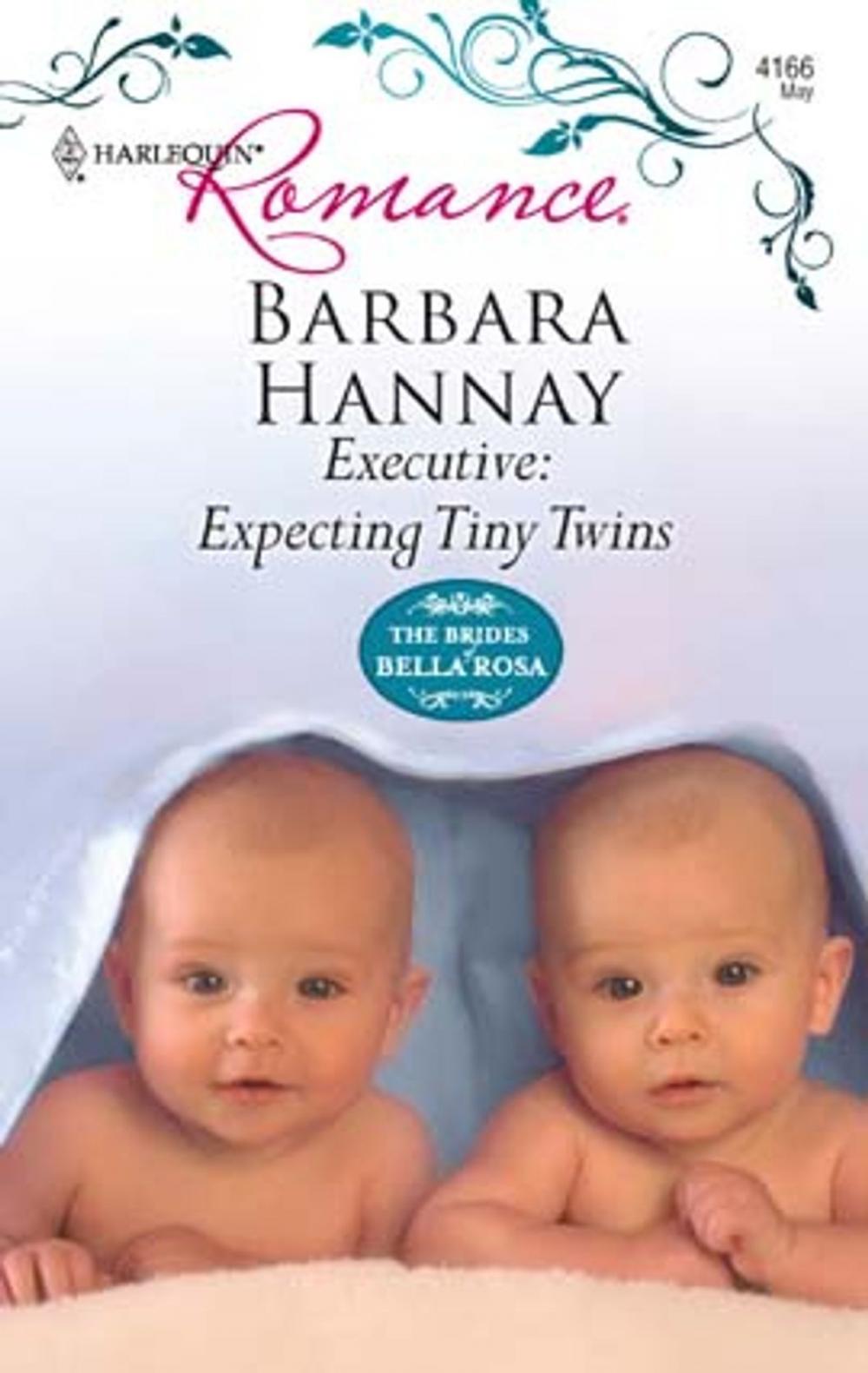 Big bigCover of Executive: Expecting Tiny Twins