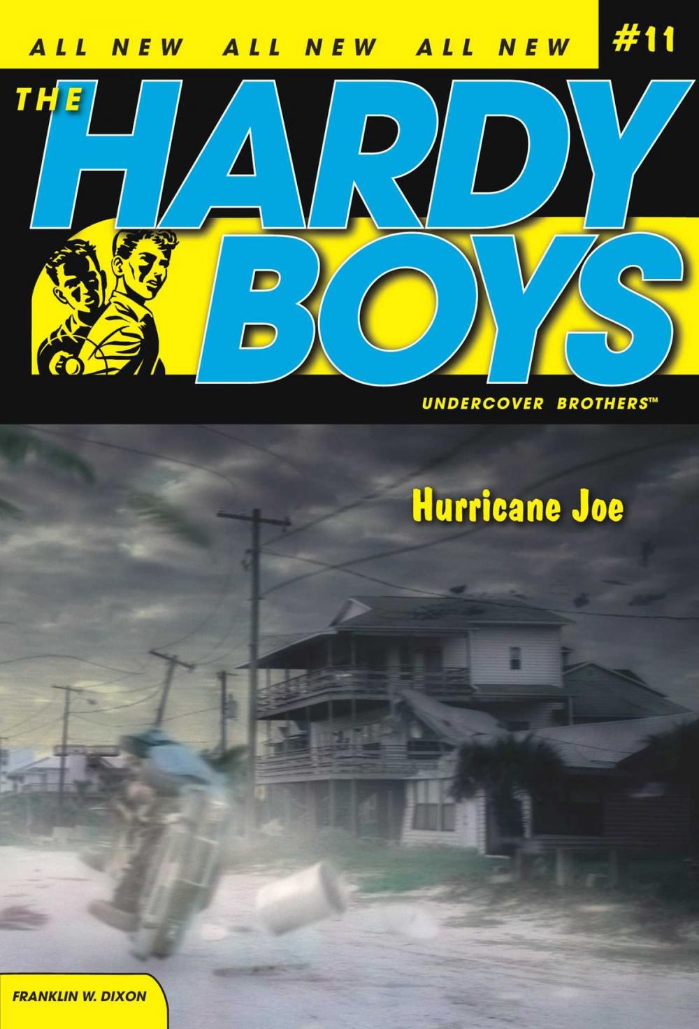 Big bigCover of Hurricane Joe