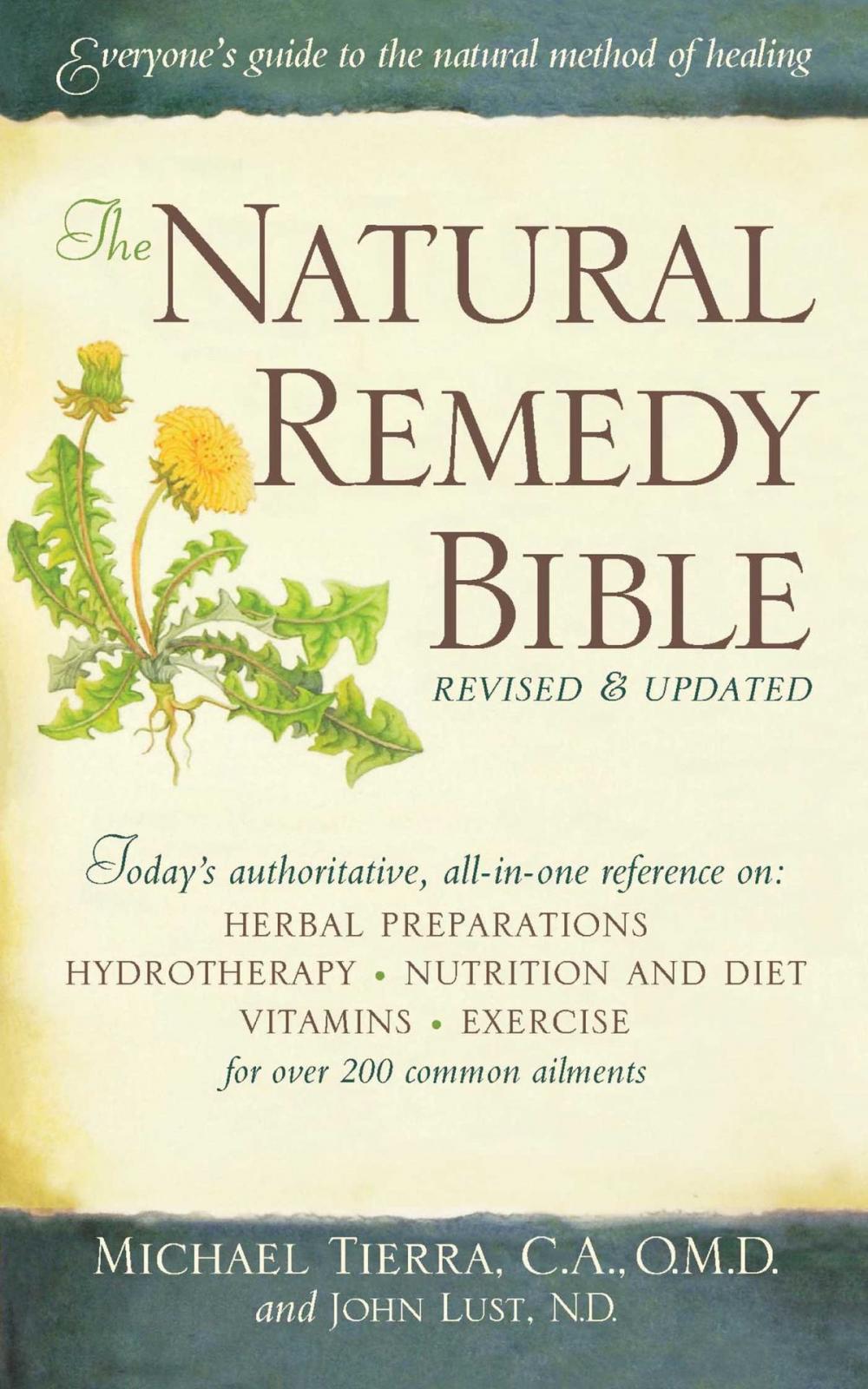 Big bigCover of The Natural Remedy Bible