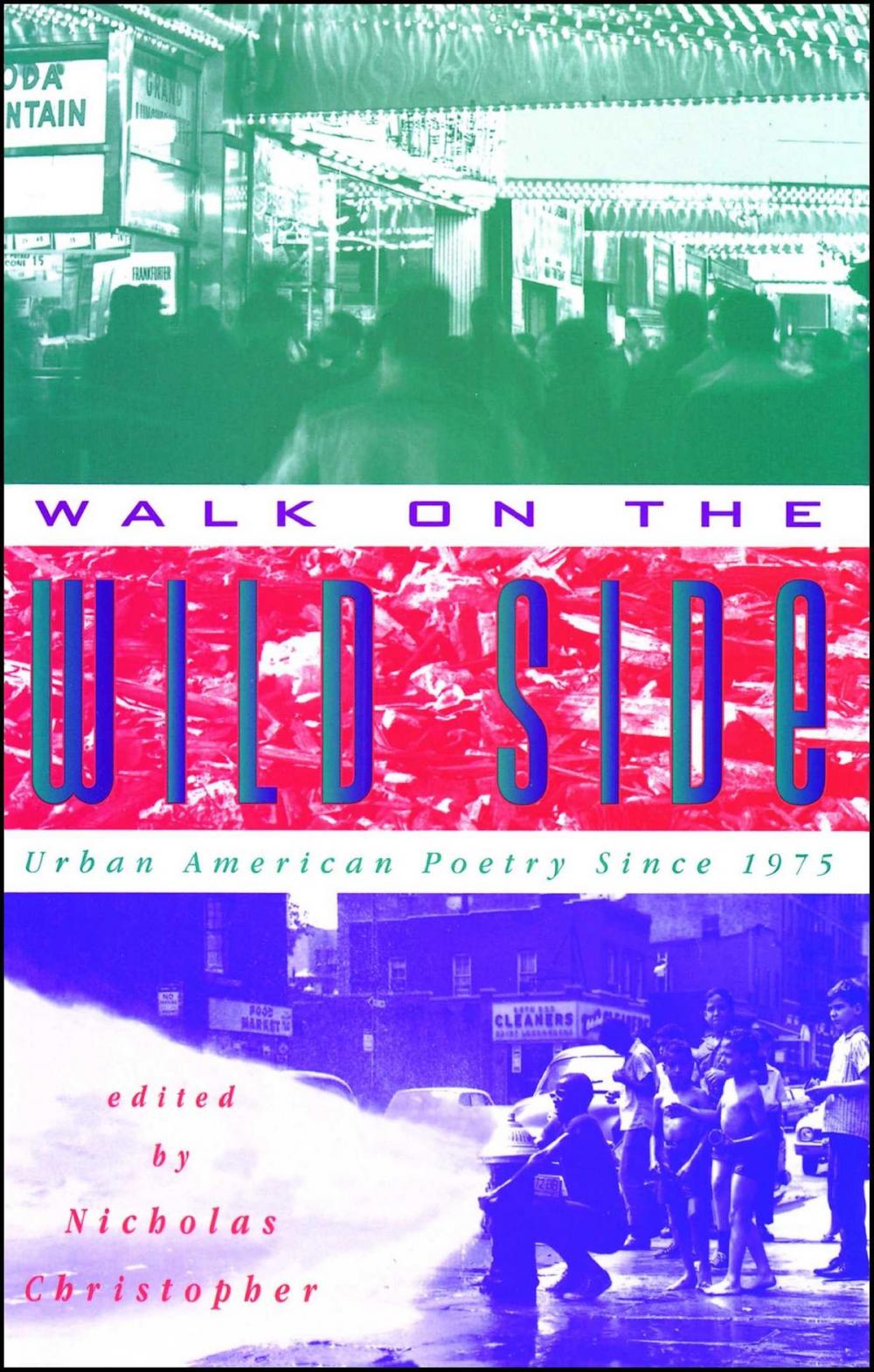 Big bigCover of Walk On The Wild Side