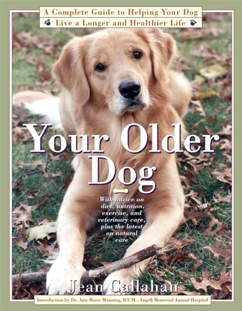 Big bigCover of Your Older Dog