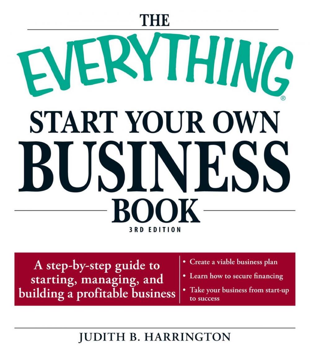 Big bigCover of The Everything Start Your Own Business Book