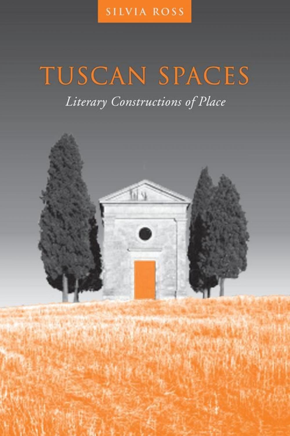 Big bigCover of Tuscan Spaces