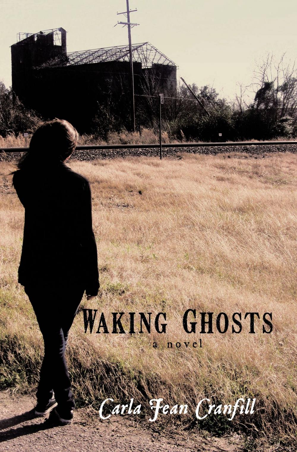 Big bigCover of Waking Ghosts