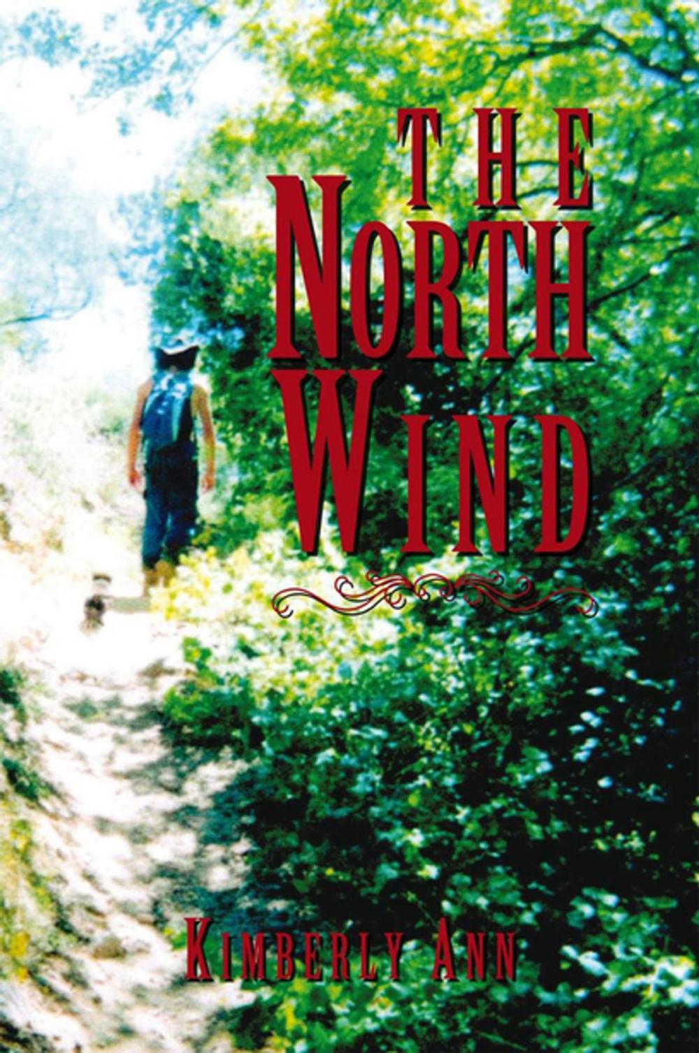 Big bigCover of The North Wind