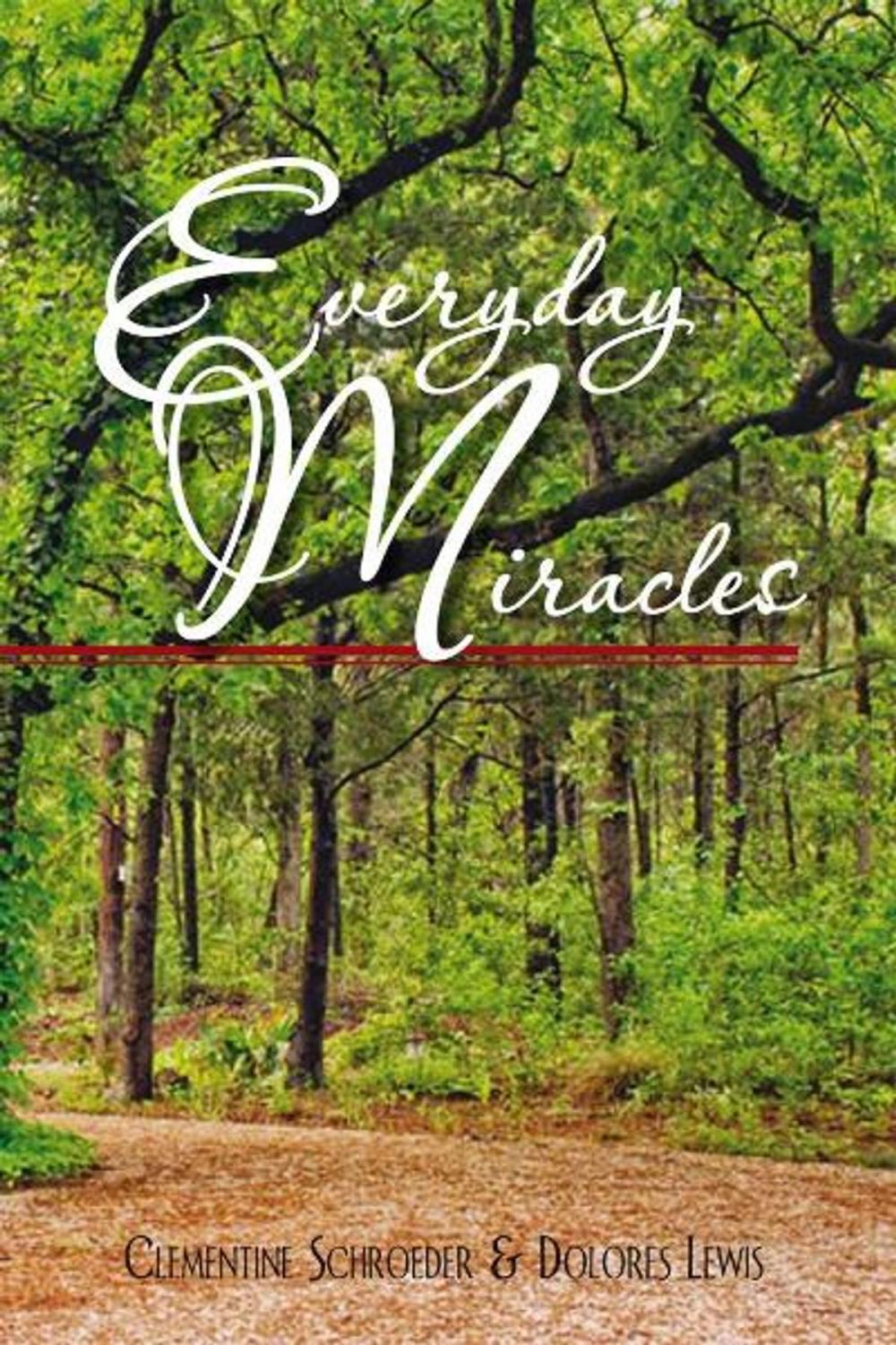 Big bigCover of Everyday Miracles