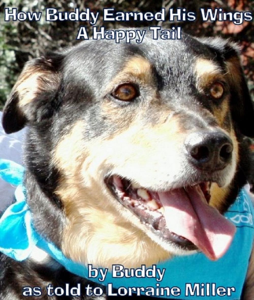 Big bigCover of How Buddy Earned His Wings: A Happy Tail