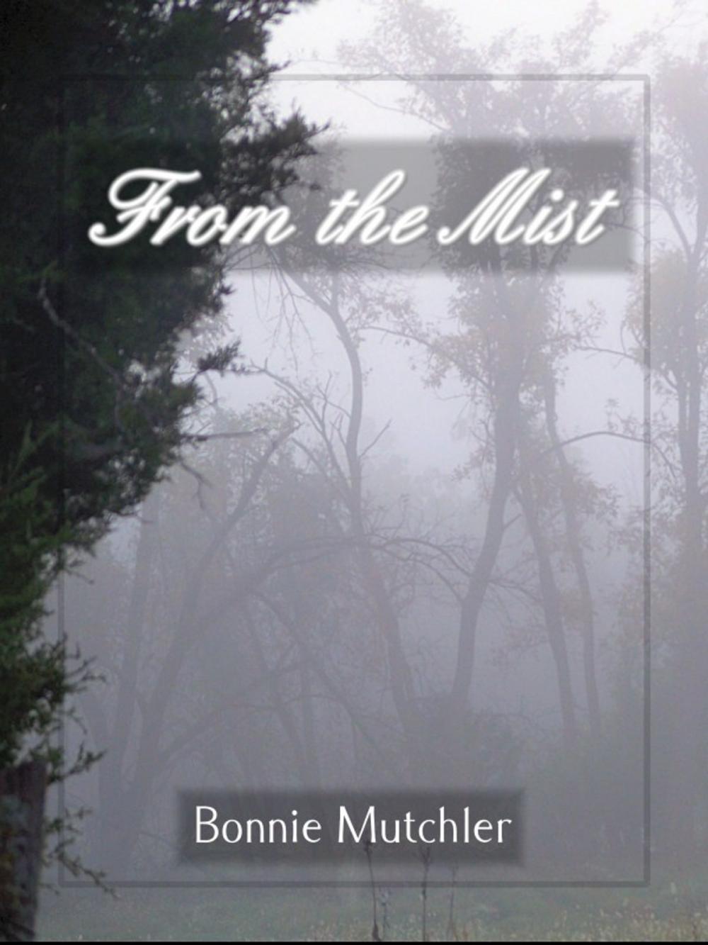 Big bigCover of From the Mist