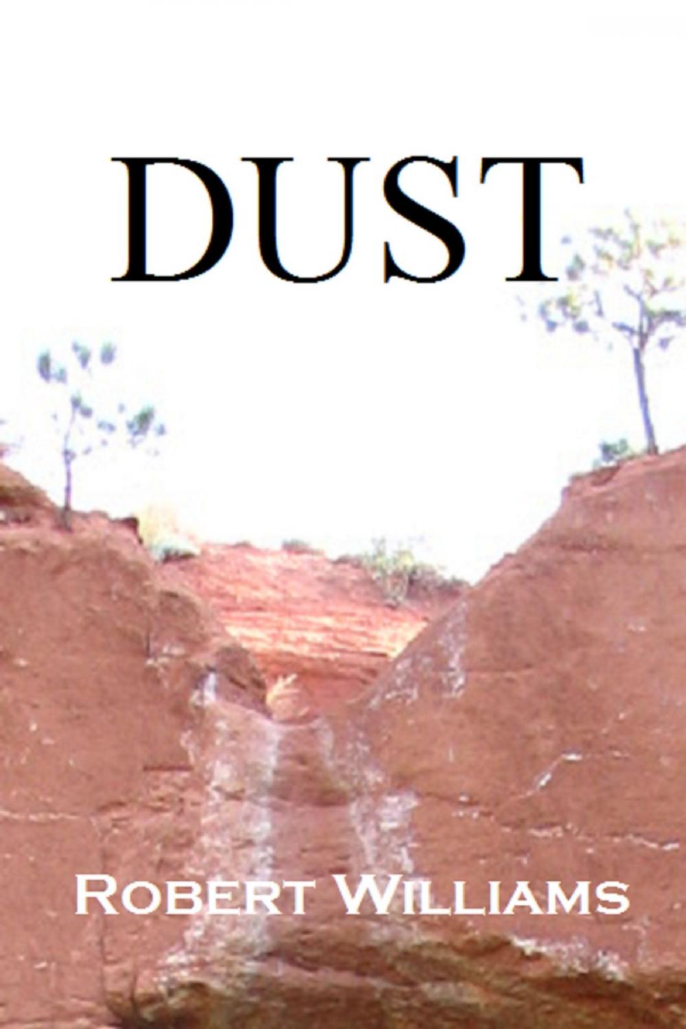 Big bigCover of Dust