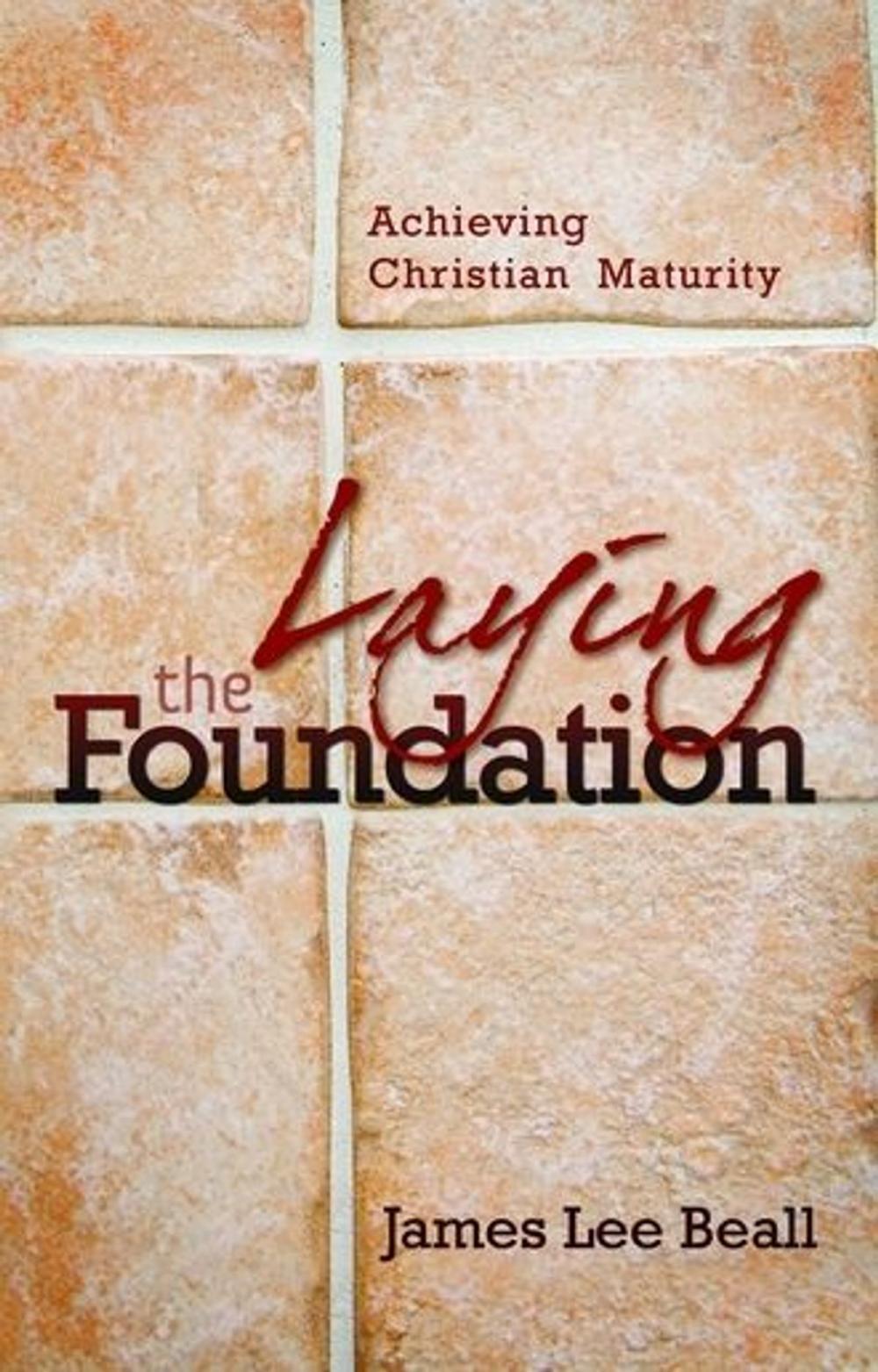 Big bigCover of Laying The Foundation