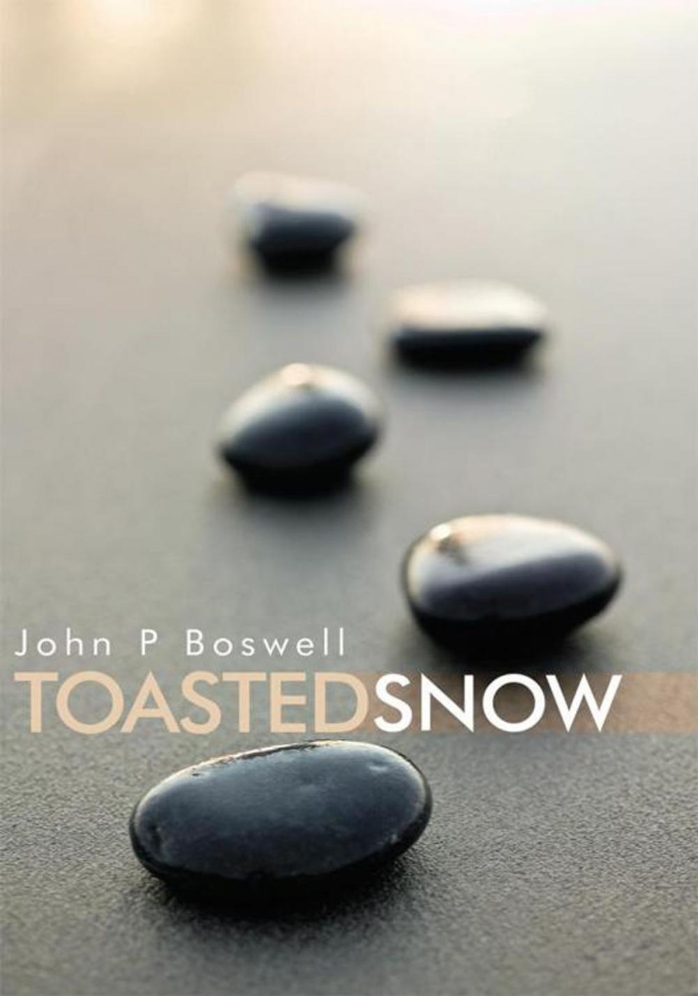 Big bigCover of Toasted Snow