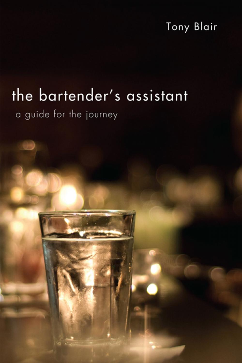 Big bigCover of The Bartender's Assistant