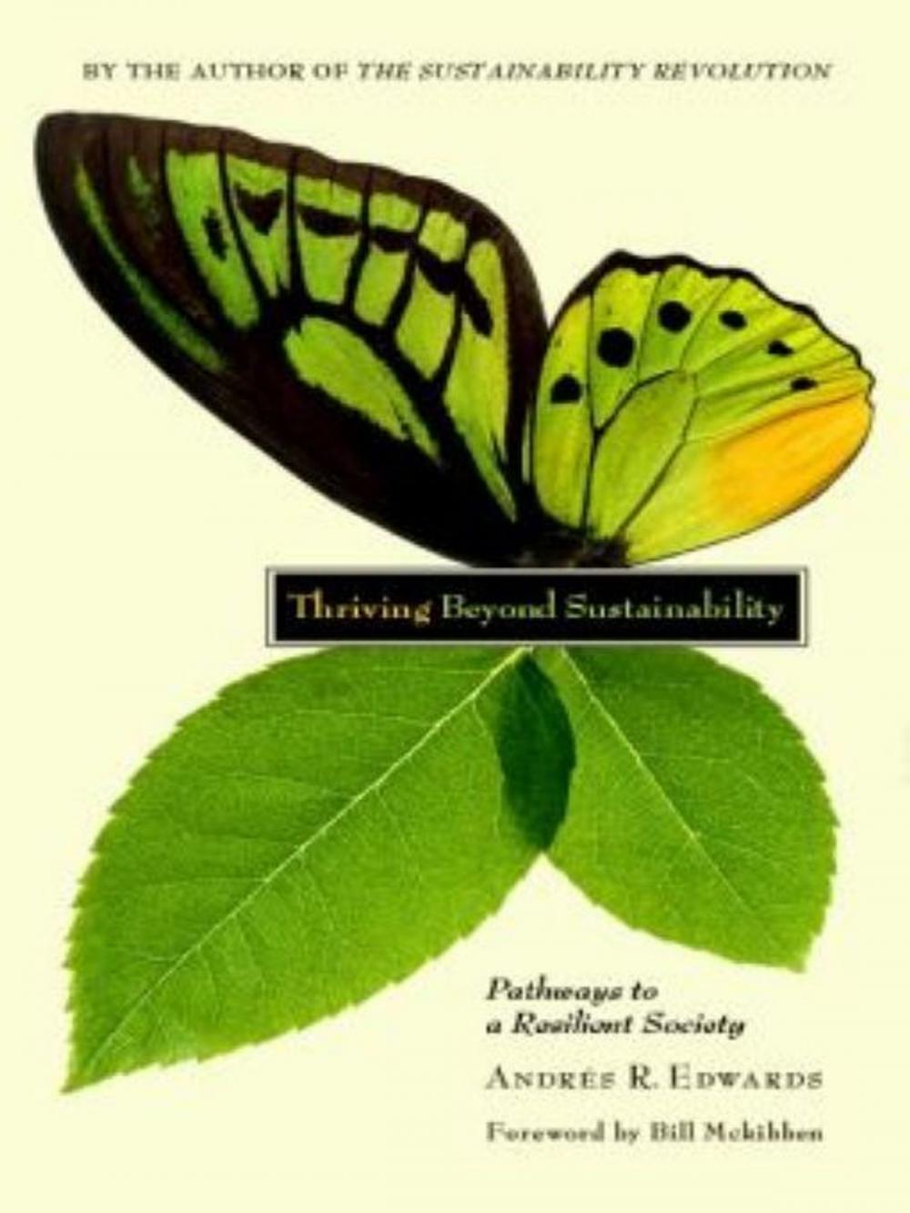 Big bigCover of Thriving Beyond Sustainability