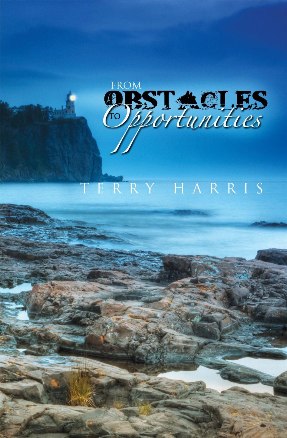 Big bigCover of From Obstacles to Opportunities