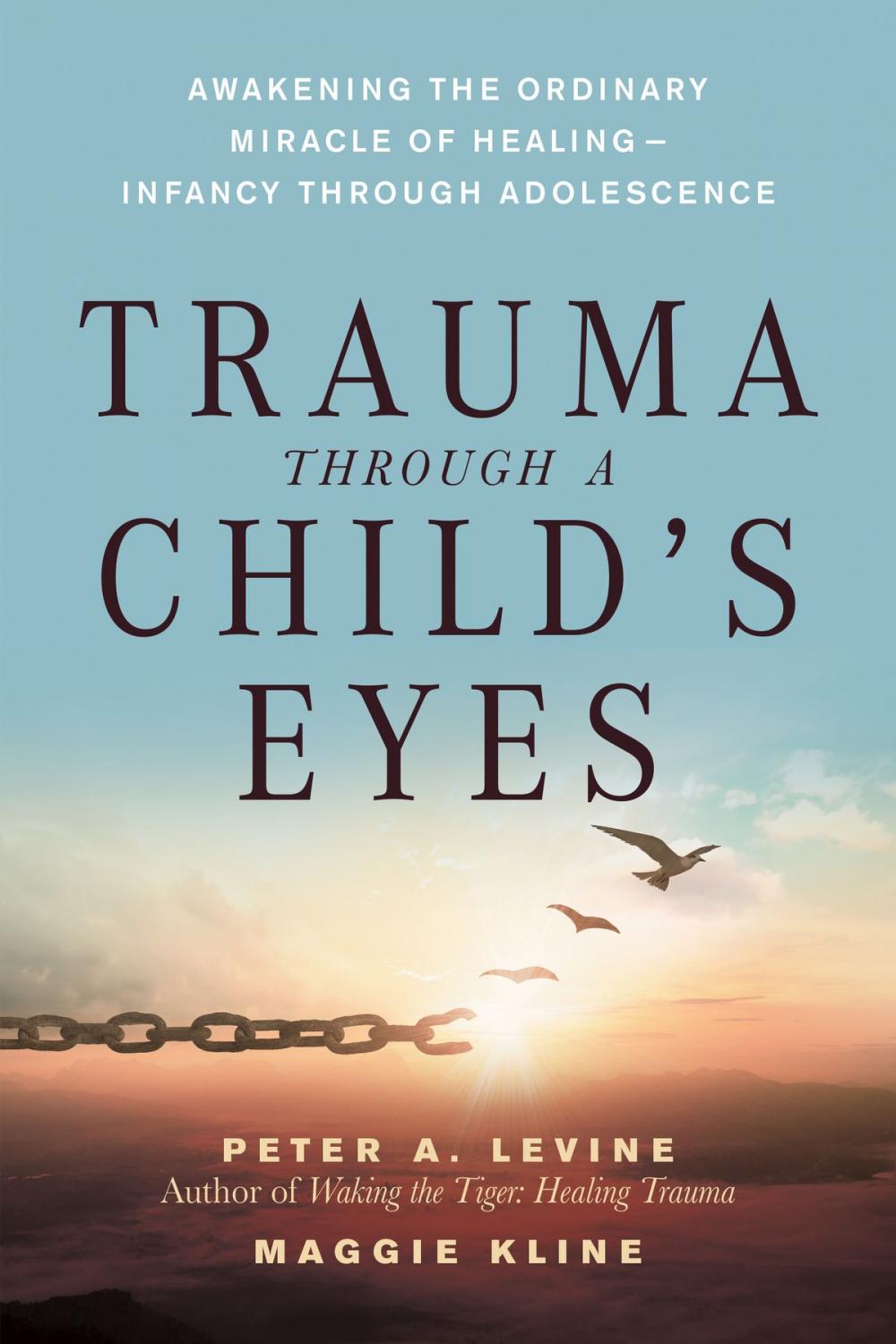 Big bigCover of Trauma Through a Child's Eyes