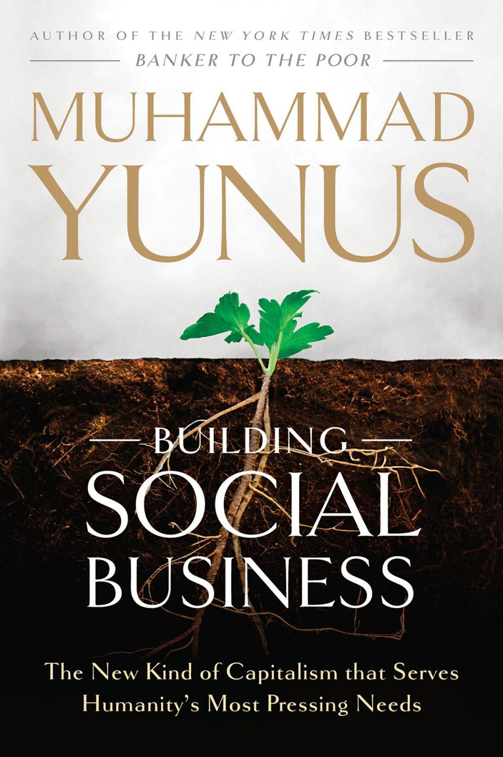 Big bigCover of Building Social Business