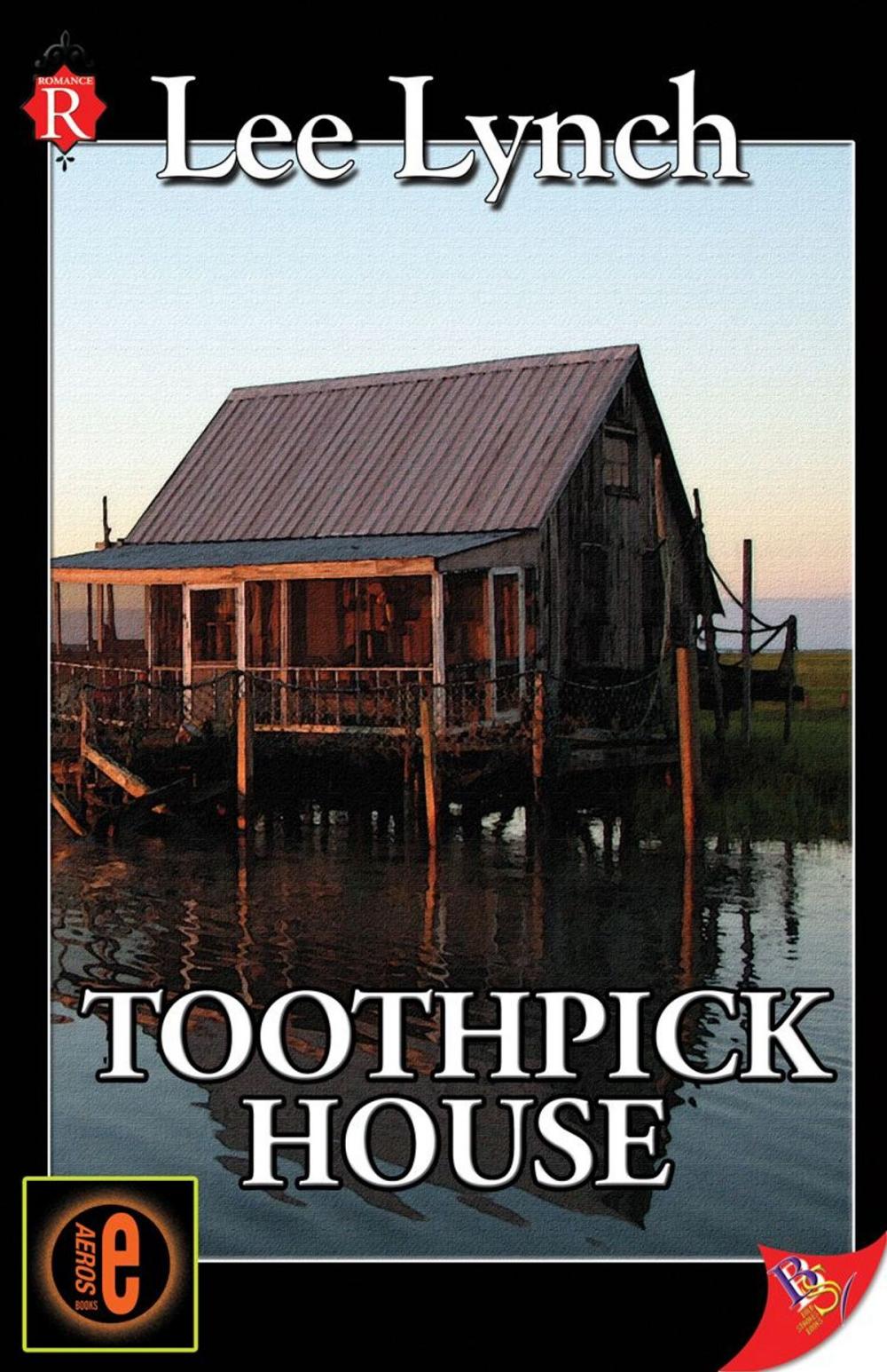 Big bigCover of Toothpick House