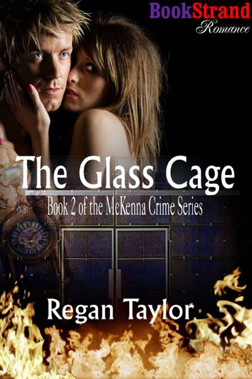 Big bigCover of The Glass Cage