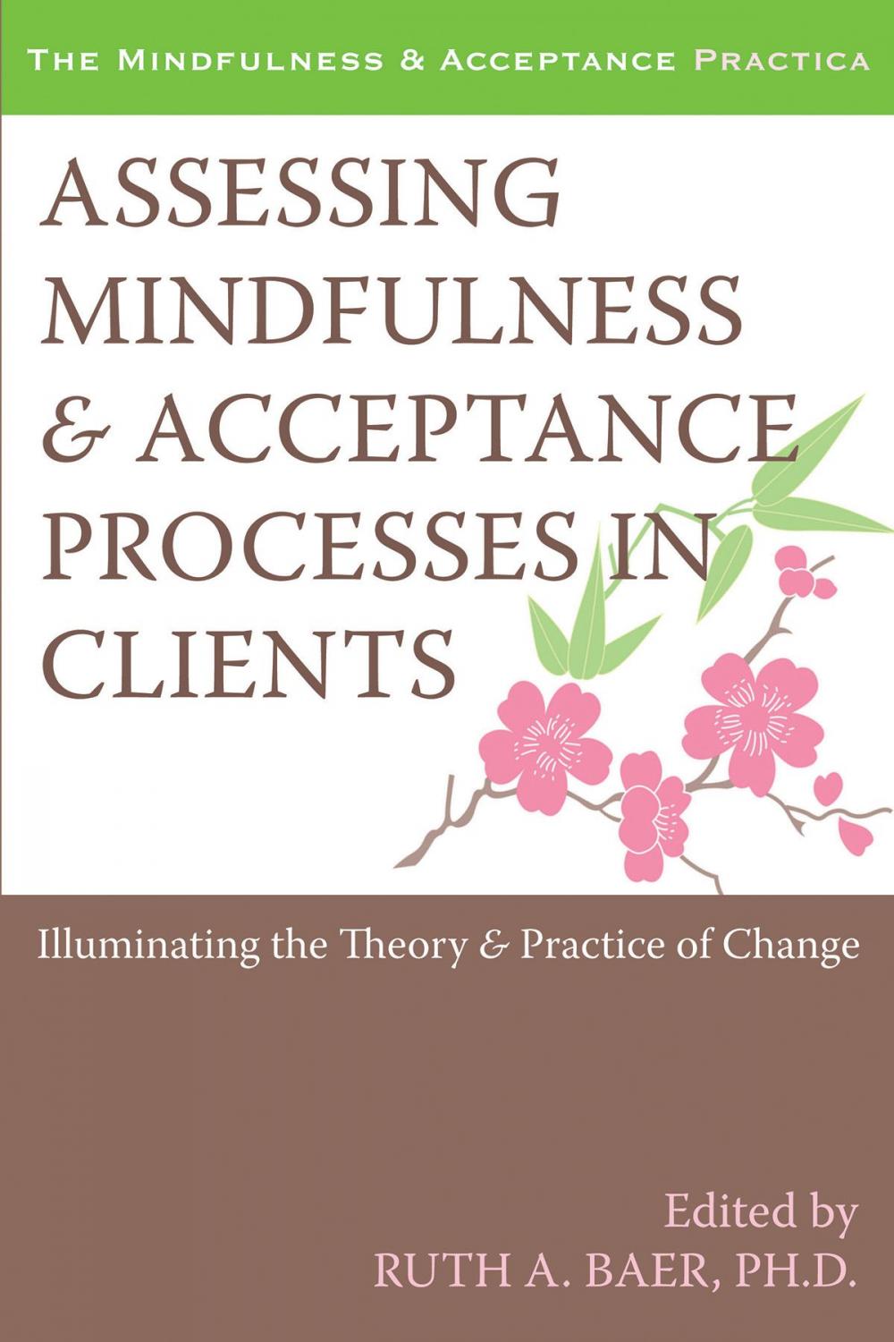 Big bigCover of Assessing Mindfulness and Acceptance Processes in Clients