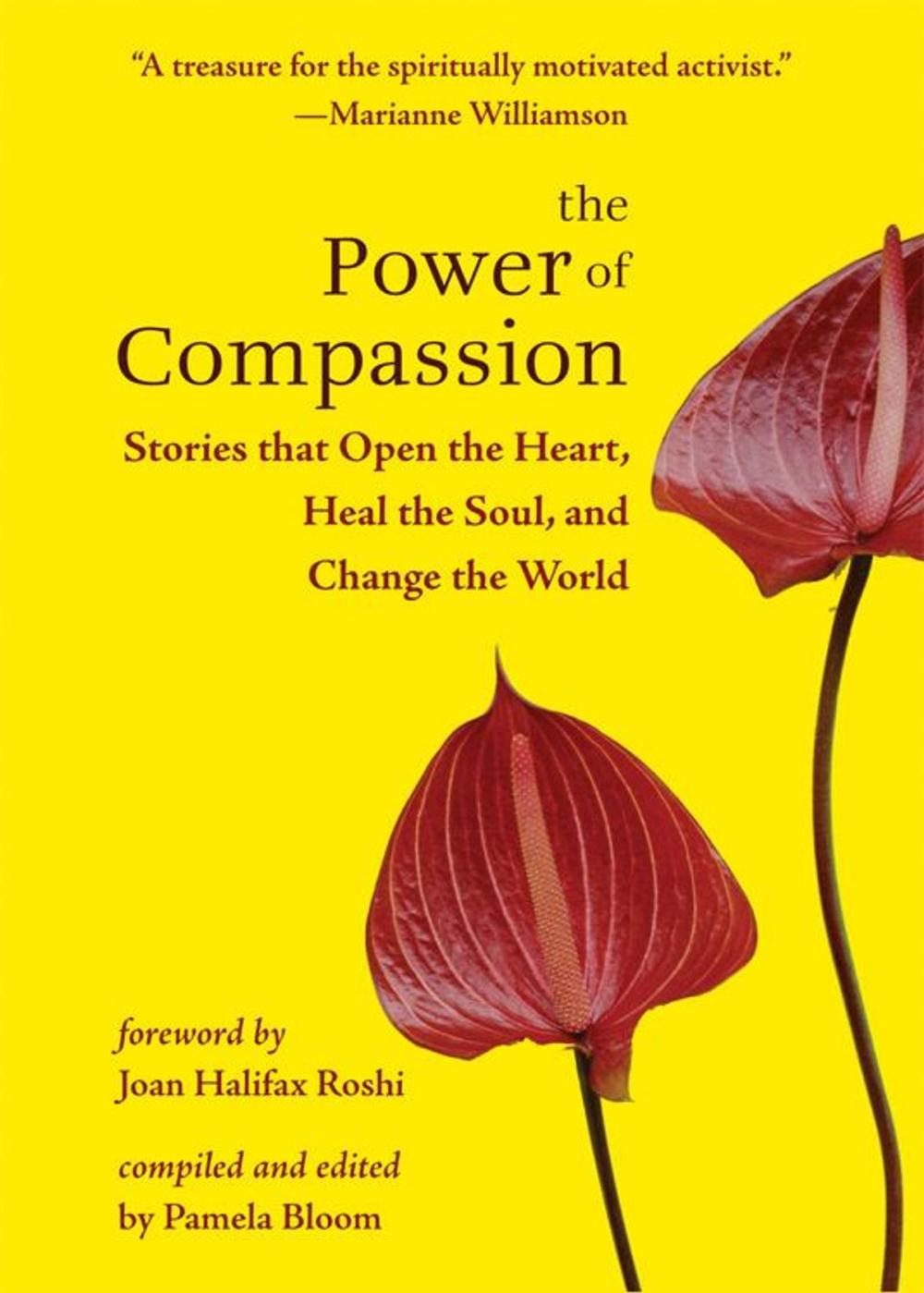 Big bigCover of The Power of Compassion: Stories That Open the Heart Heal the Soul and Change the World