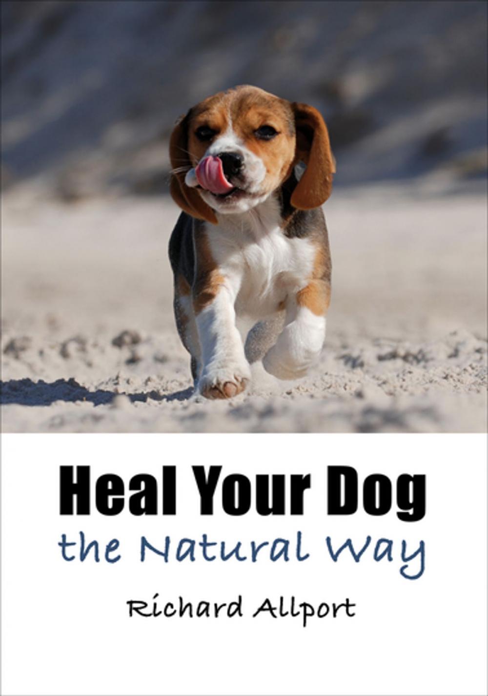 Big bigCover of Heal Your Dog the Natural Way