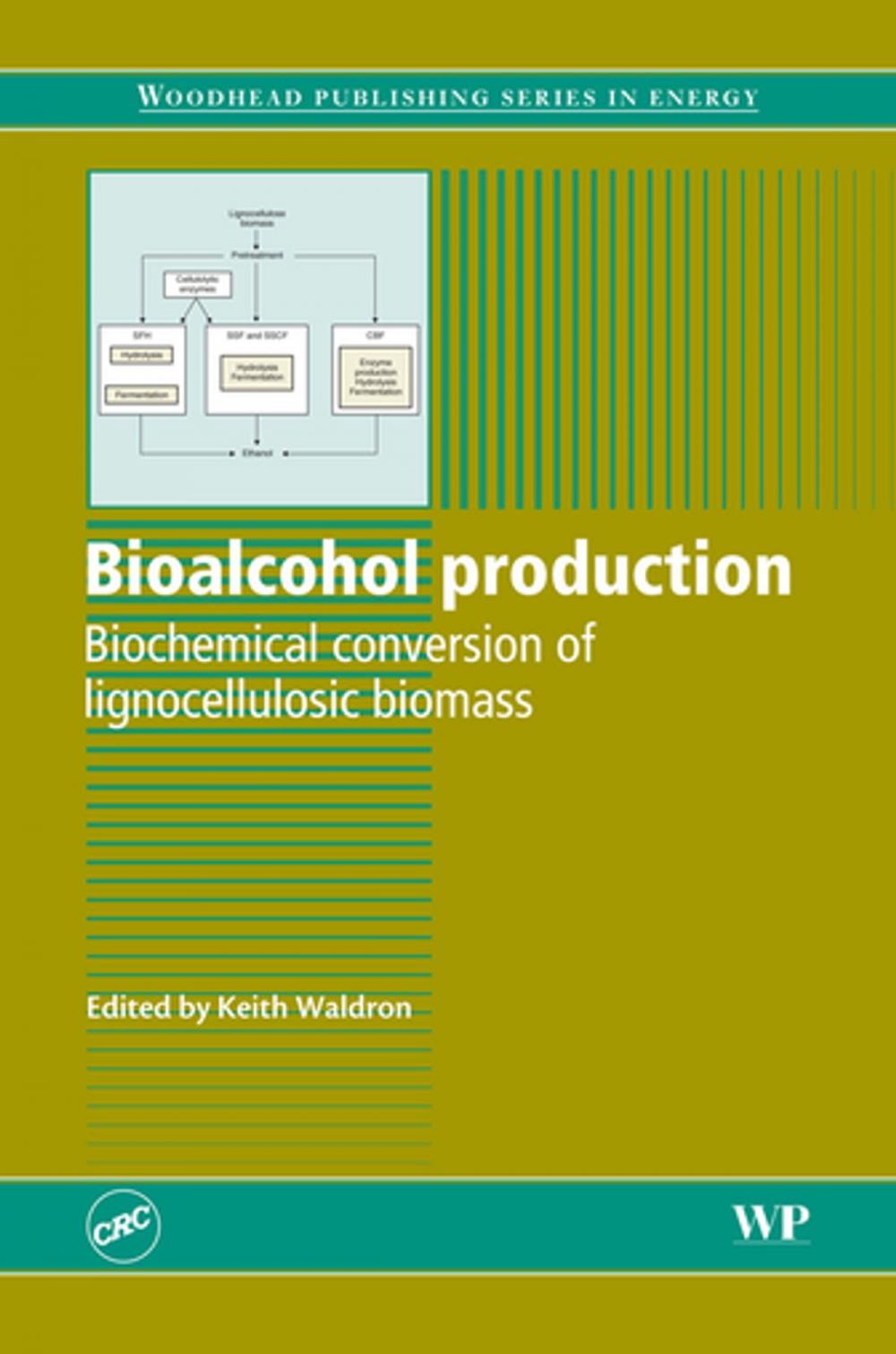 Big bigCover of Bioalcohol Production