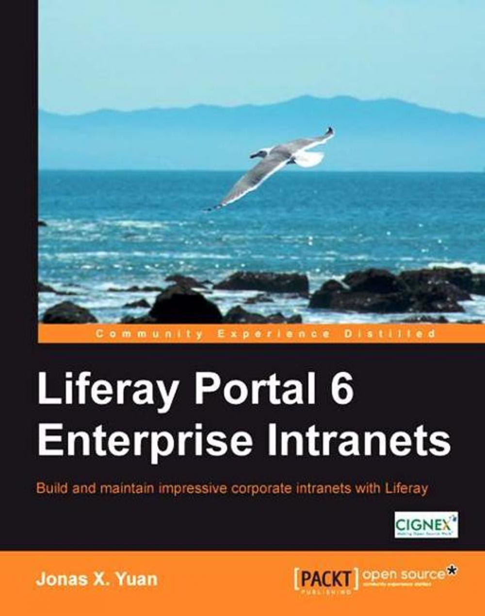 Big bigCover of Liferay Portal 6 Enterprise Intranets