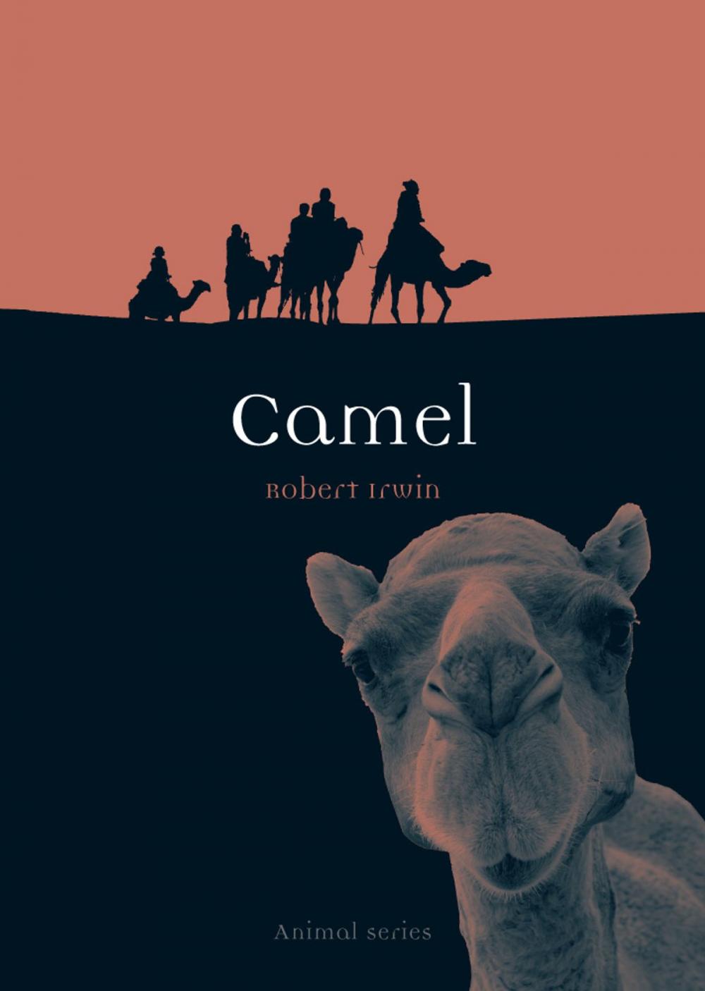 Big bigCover of Camel