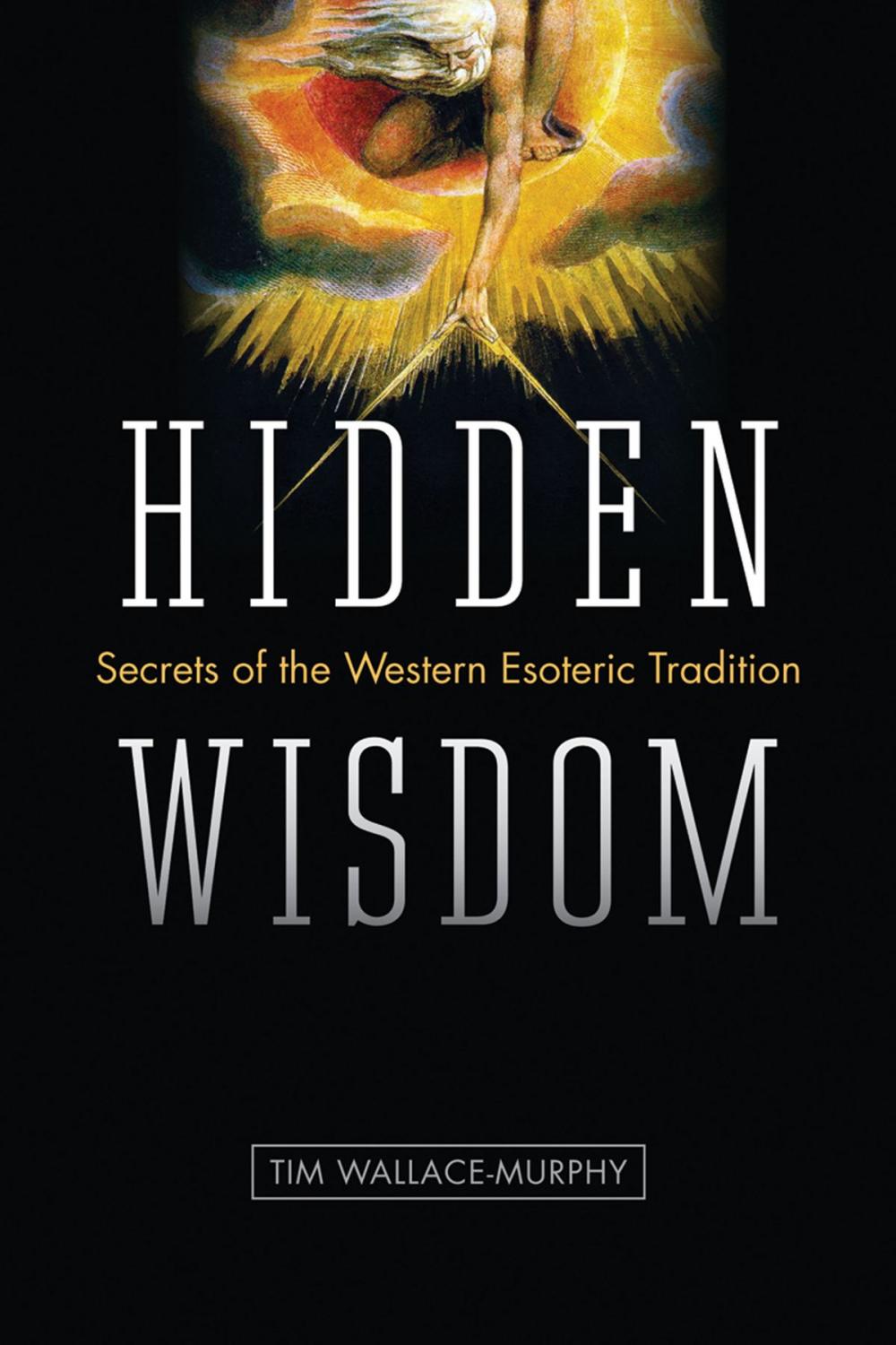 Big bigCover of Hidden Wisdom