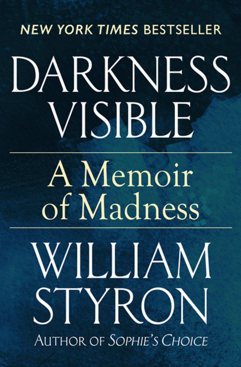 Big bigCover of Darkness Visible